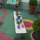 jardinagem3 (Small)