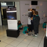 DSC00396.JPG