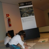 Registro.jpg