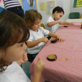 DSCN7231.JPG