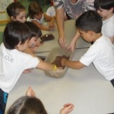 SDC16513.JPG