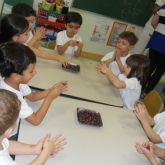 SDC16515.JPG