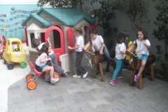 SDC17558
