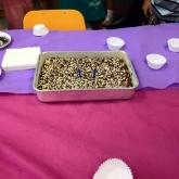 FOTOS03 (62)
