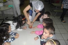 SAM_2422