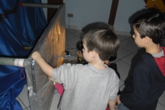 SAM_2870