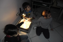SAM_2877