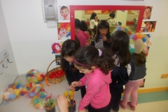 DSCN4626