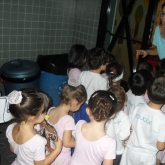 SDC16686.JPG