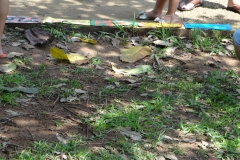 DSC05270