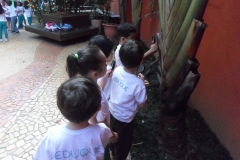 SAM_3171