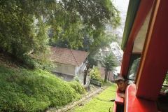 DSC03675