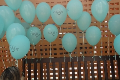 DSC06003