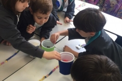 5A (1)