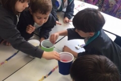 5A (5)