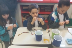 5B (2)