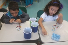 5B (4)