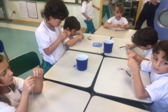 5C (2)