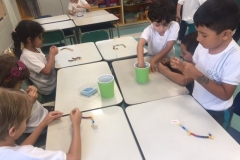 5C (3)