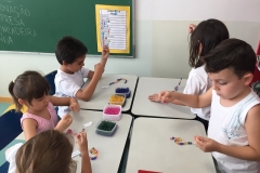 5D (1)