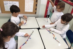 5D (1)
