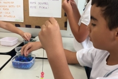 5D (7)